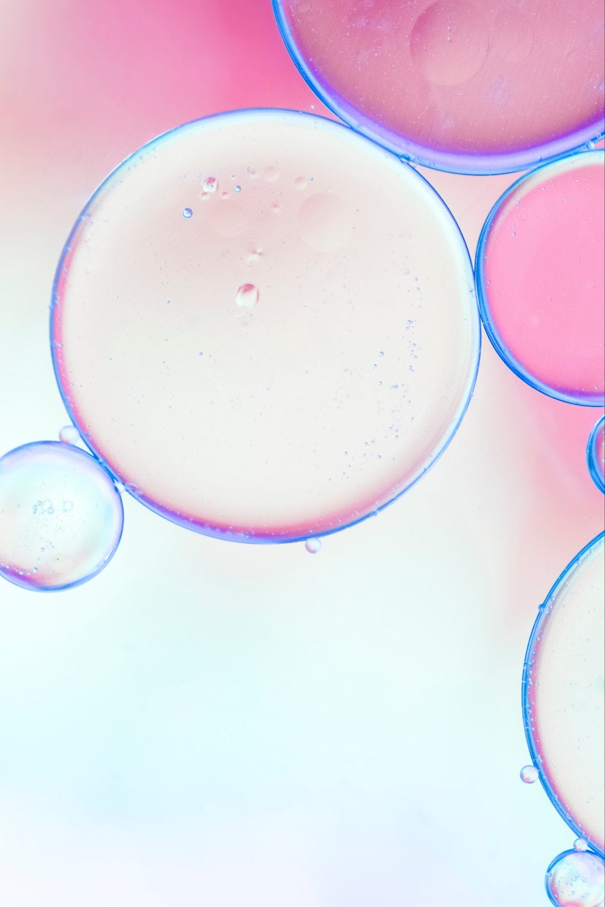 Pastel-colored bubbles on a gradient background